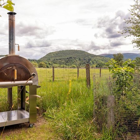 Alba - Charming Boutique Forest View Cabin With Hot Tub In Ballater Kültér fotó